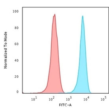 CD3 Antibody / CD3e