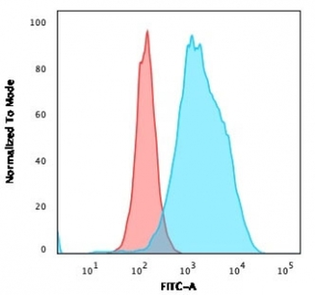 CD20 Antibody