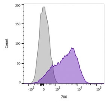 CD45 Antibody