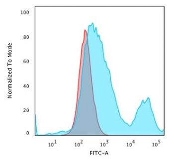 Keratin 18 Antibody
