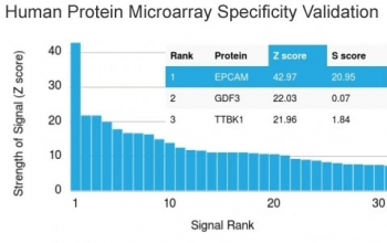EpCAM Antibody / Cytoplasmic domain