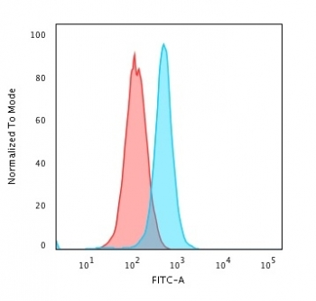 Moesin Antibody