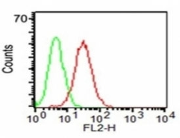 CD34 Antibody