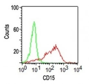 CD15 Antibody / SSEA-1