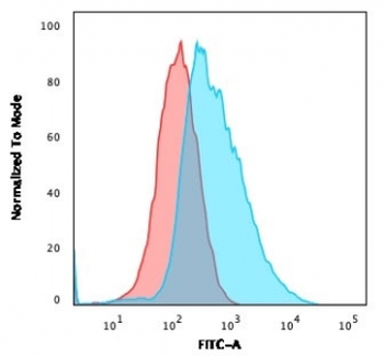 Gamma Catenin Antibody / Plakoglobin