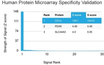 Recombinant CD1a Antibody