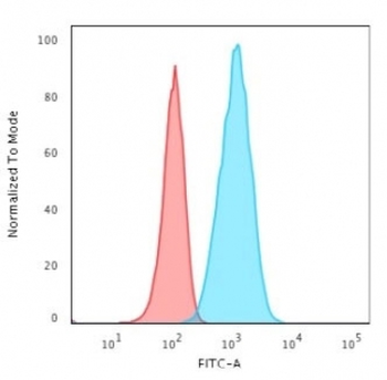 GFAP Antibody / Glial Fibrillary Acidic Protein
