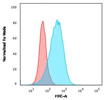 Recombinant CD45 Antibody / Rabbit Monoclonal