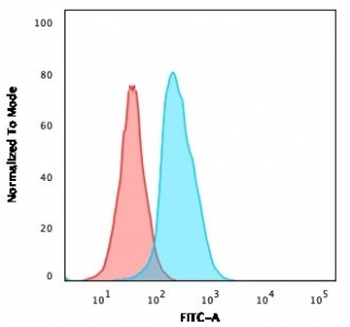 CD22 Antibody
