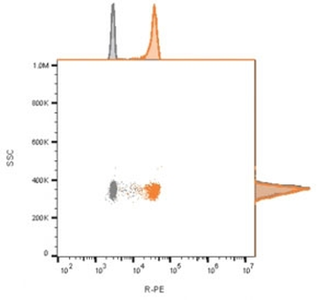 CD9 Antibody