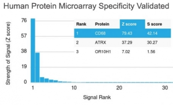 CD68 Antibody