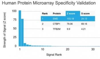 Emerin Antibody