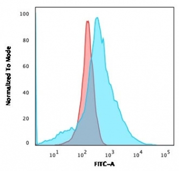 GLUT1 Antibody / SLC2A1