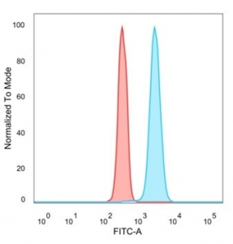 p63 Antibody / Tumor protein 63
