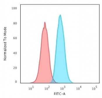 PCNA Antibody