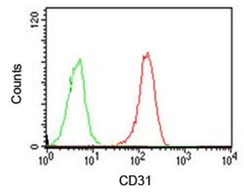 CD31 Antibody