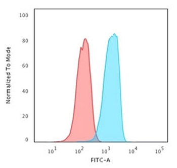 HER2 Antibody