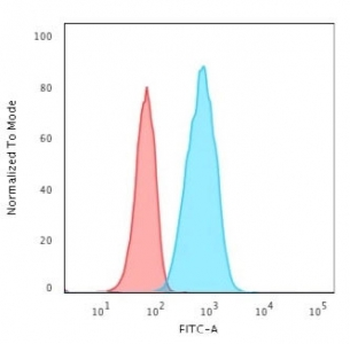 CD19 Antibody