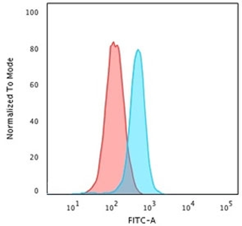 Moesin Antibody