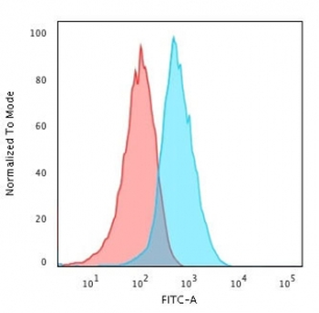 TNF alpha Antibody