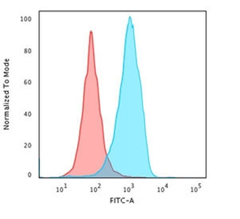 CD63 Antibody / LAMP-3