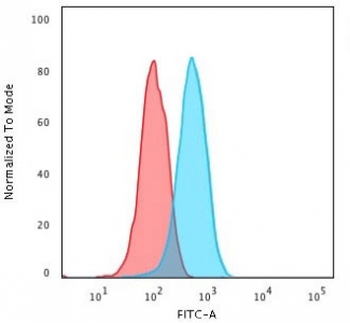 FOXA1 Antibody