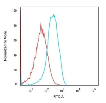 Cadherin 16 Antibody