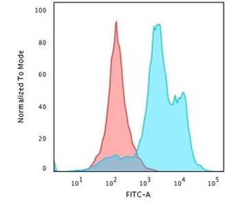 Histone H1 Antibody
