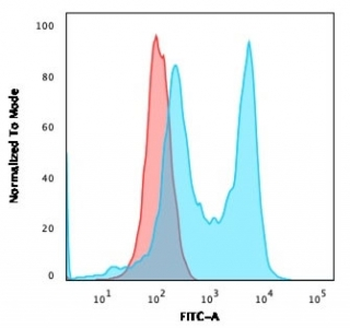 CD6 Antibody