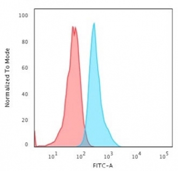 KRT15 Antibody / Cytokeratin 15