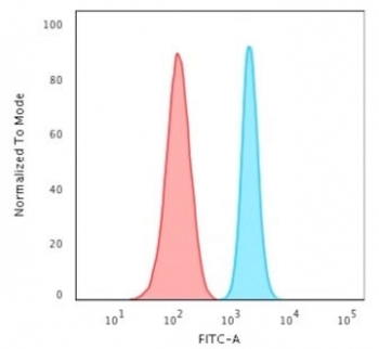 SPTBN2 Antibody / Spectrin beta III