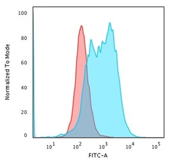 Bcl10 Antibody