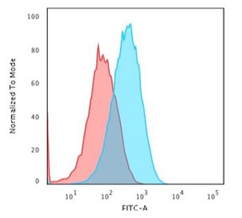 Albumin Antibody / Serum Albumin