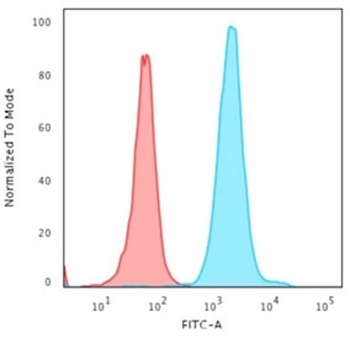 Nucleophosmin Antibody / NPM1