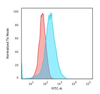 CD73 Antibody