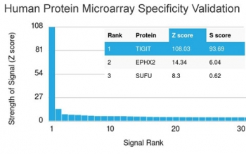 TIGIT Antibody / VSTM3 / VSIG9