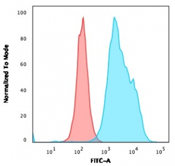 CD20 Antibody