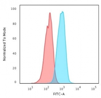 ERBB4 Antibody / HER4