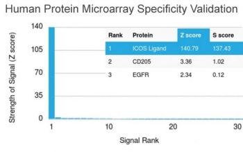 ICOS-L Antibody / ICOS Ligand / B7RP-1