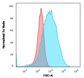 CD15 Antibody / SSEA-1
