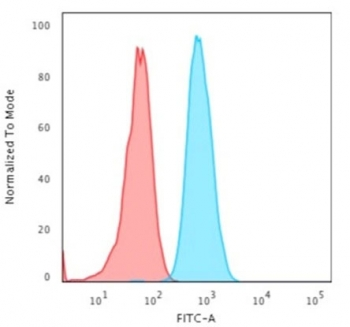 Cytokeratin 4 Antibody / KRT4