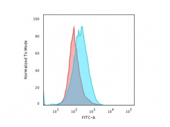 CD45 Antibody (Leukocyte marker)