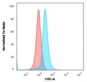 CD27 Antibody