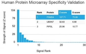 PSMD4 Antibody