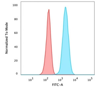 Vinculin Antibody