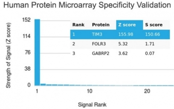 TIM-3 Antibody / HAVCR2