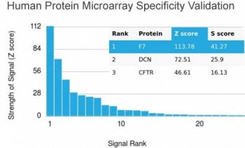 Factor VII Antibody