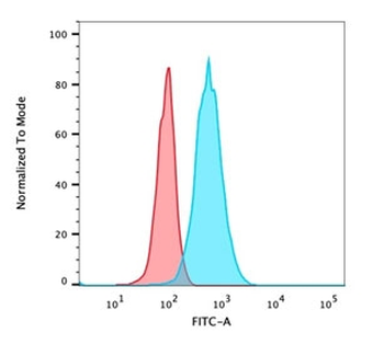 Endoglin Antibody / CD105