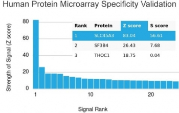 Prostein Antibody / SLC45A3