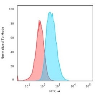 GFAP Antibody / Glial Fibrillary Acidic Protein